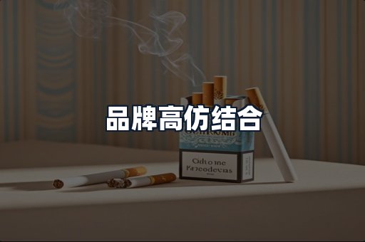 品牌高仿结合